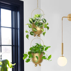AceList two-tier hanging display demonstrating versatile height arrangement