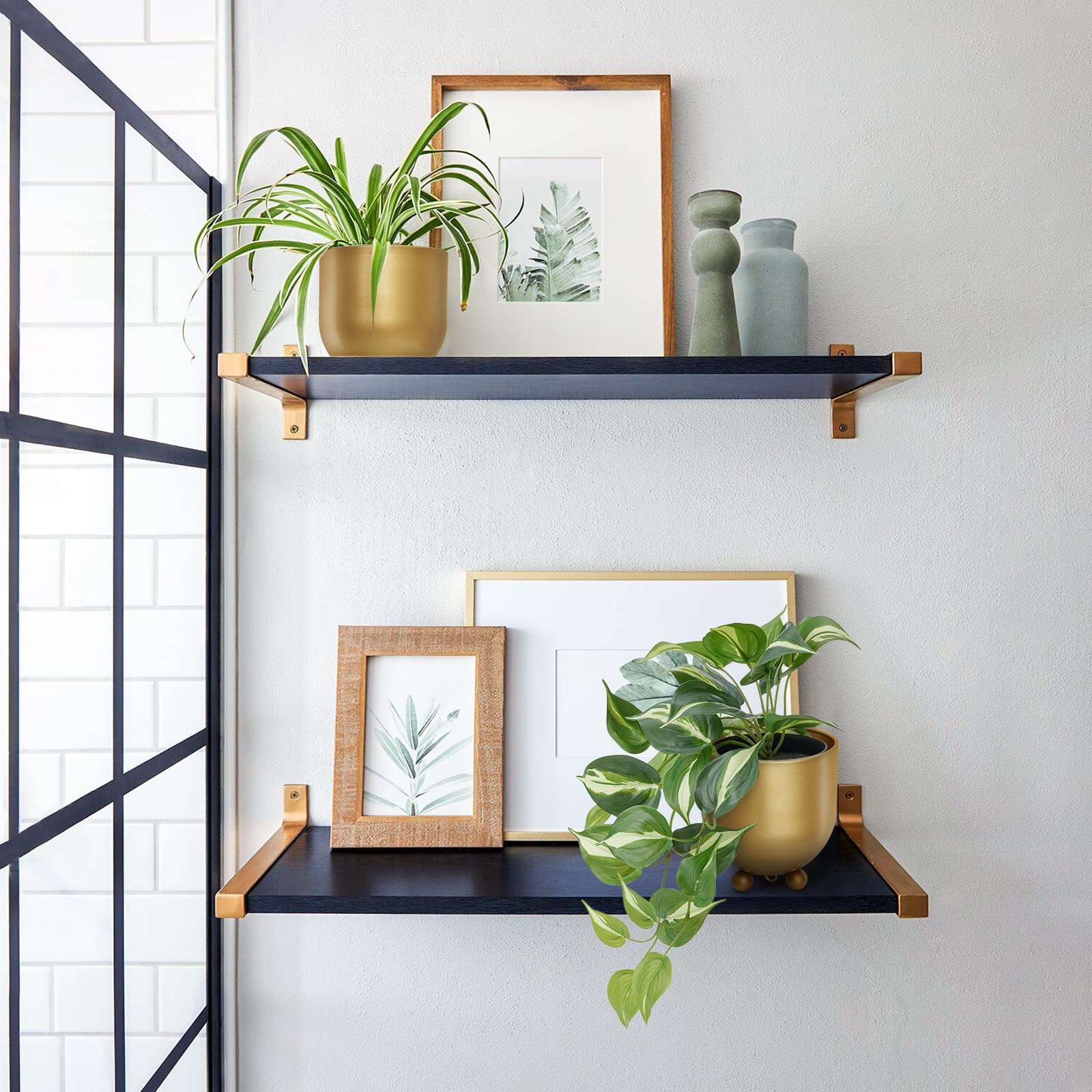 AceList window display with plants showcasing bright indoor styling