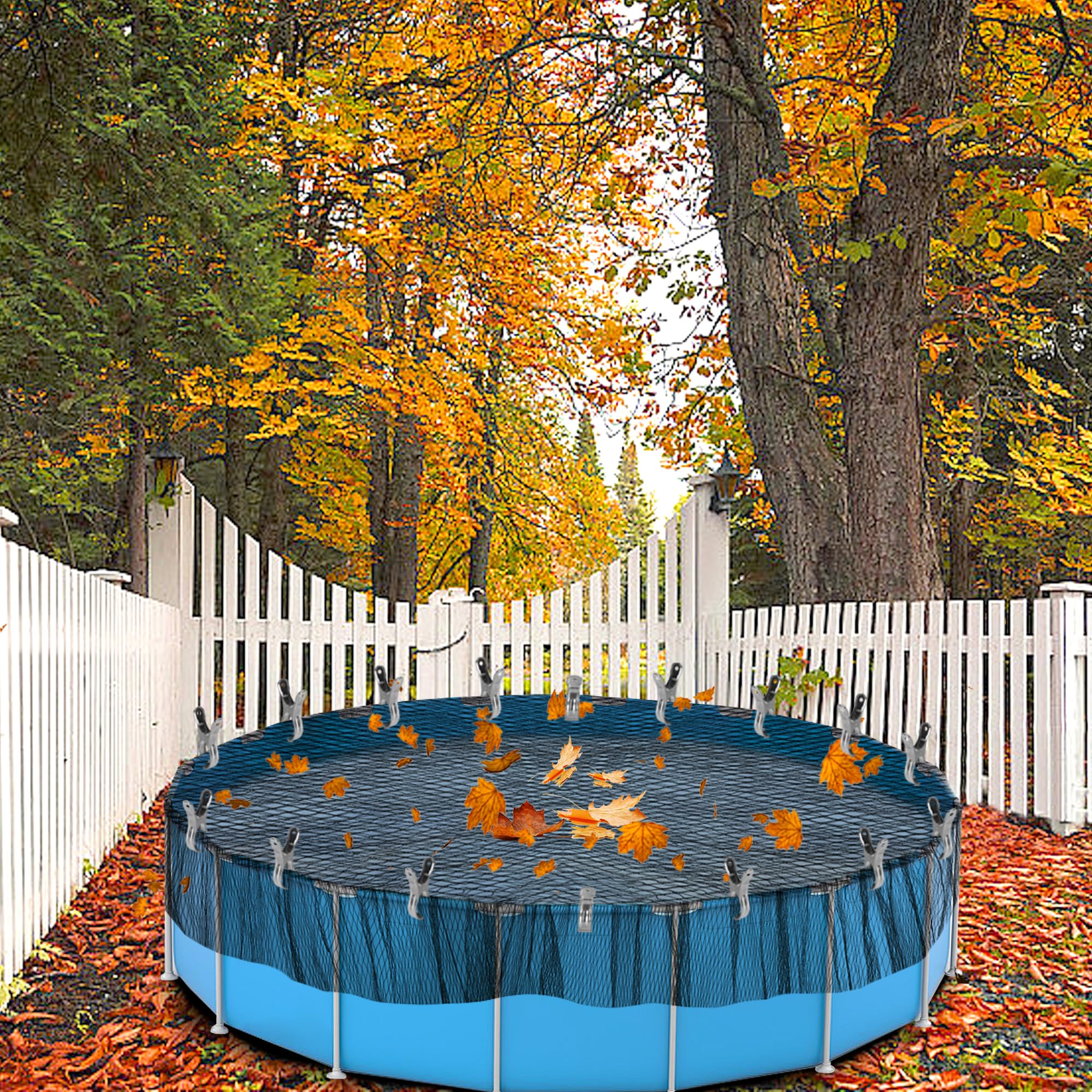 Adnee backyard scene showing clean pool with net reducing debris