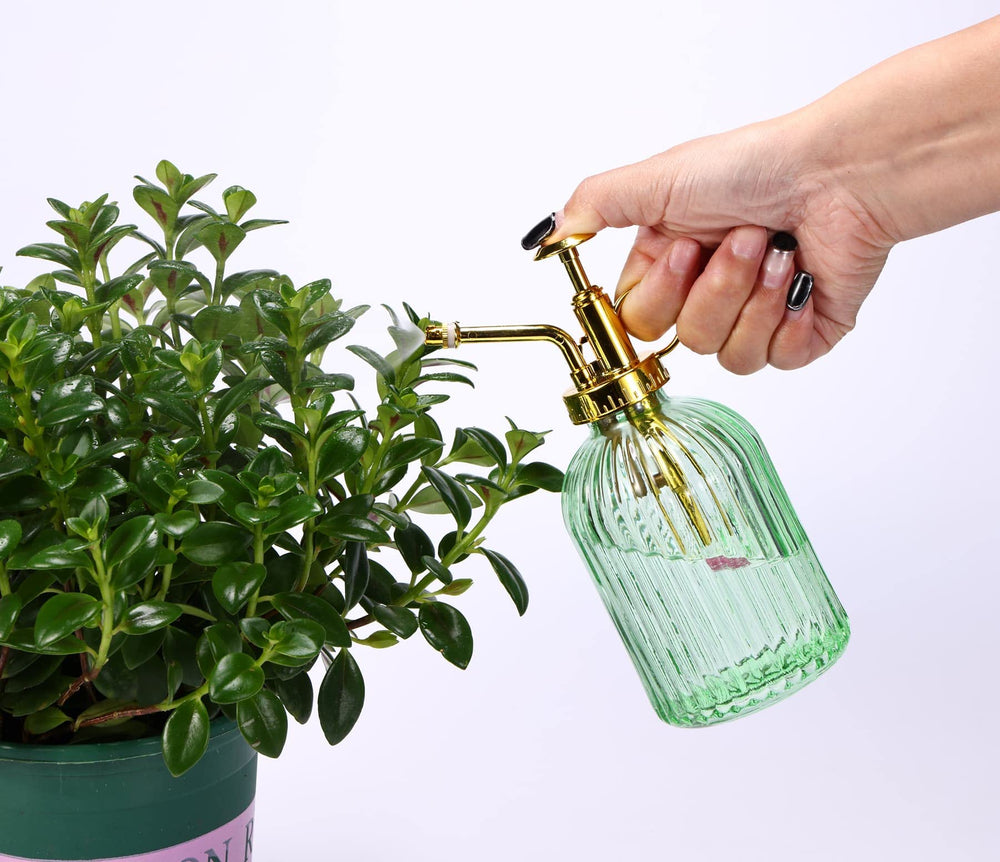 Aebor misting an indoor fern demonstrating gentle, even hydration benefit