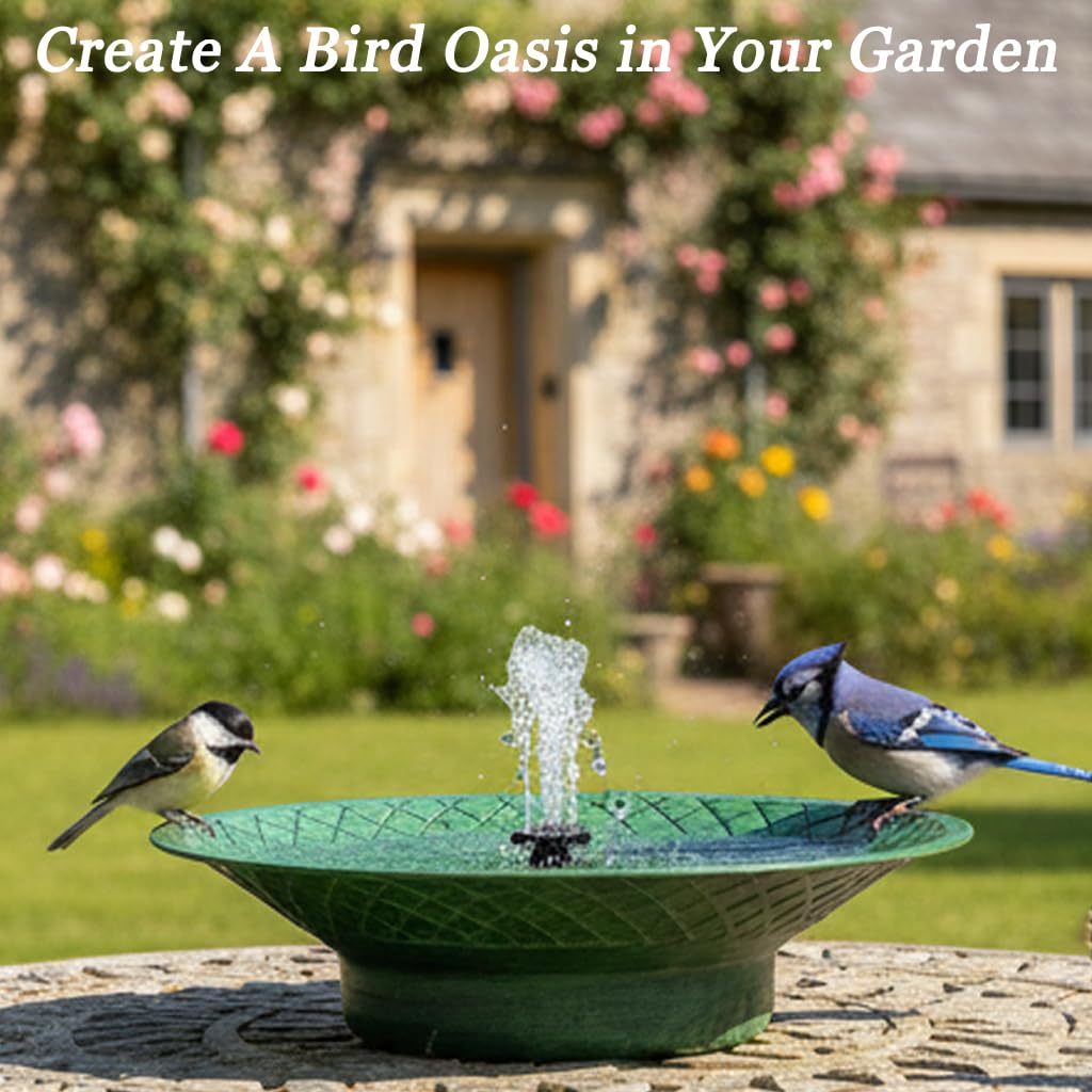 Aifeorzo lifestyle garden setting with birds showing inviting water feature