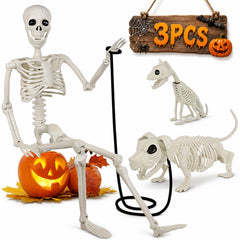 Aitbay 36-inch human skeleton front view showing lifelike poseability and focal impact