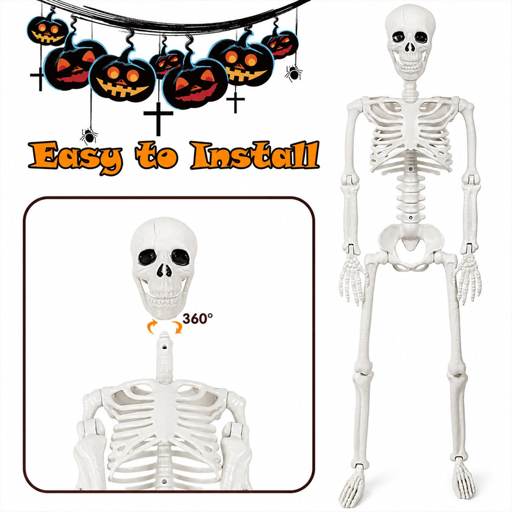 Aitbay cat skeleton perched on rail highlighting compact size and display versatility