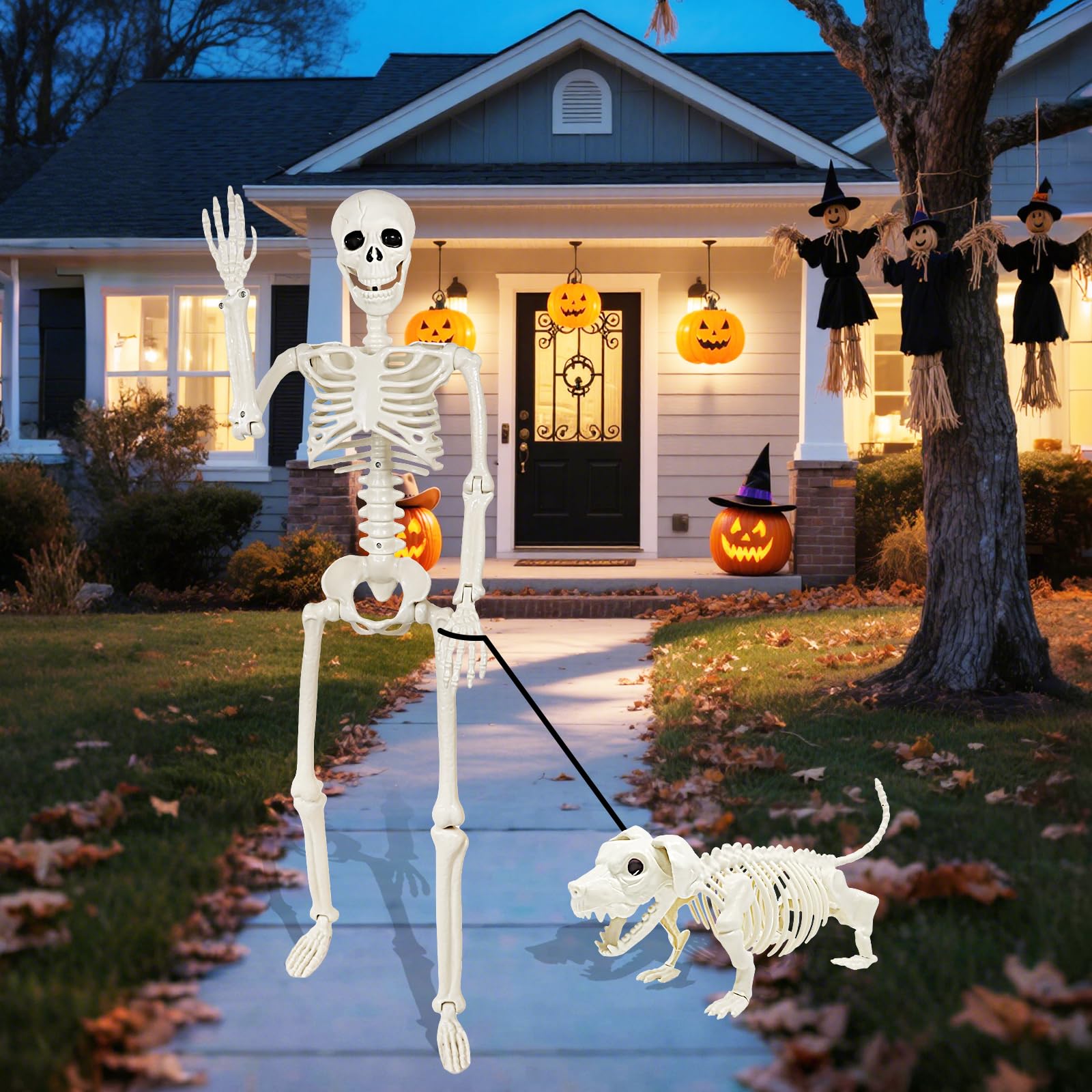 Aitbay dog skeleton front view 15-inch size adding playful companion to display
