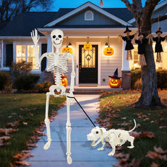 Aitbay dog skeleton front view 15-inch size adding playful companion to display