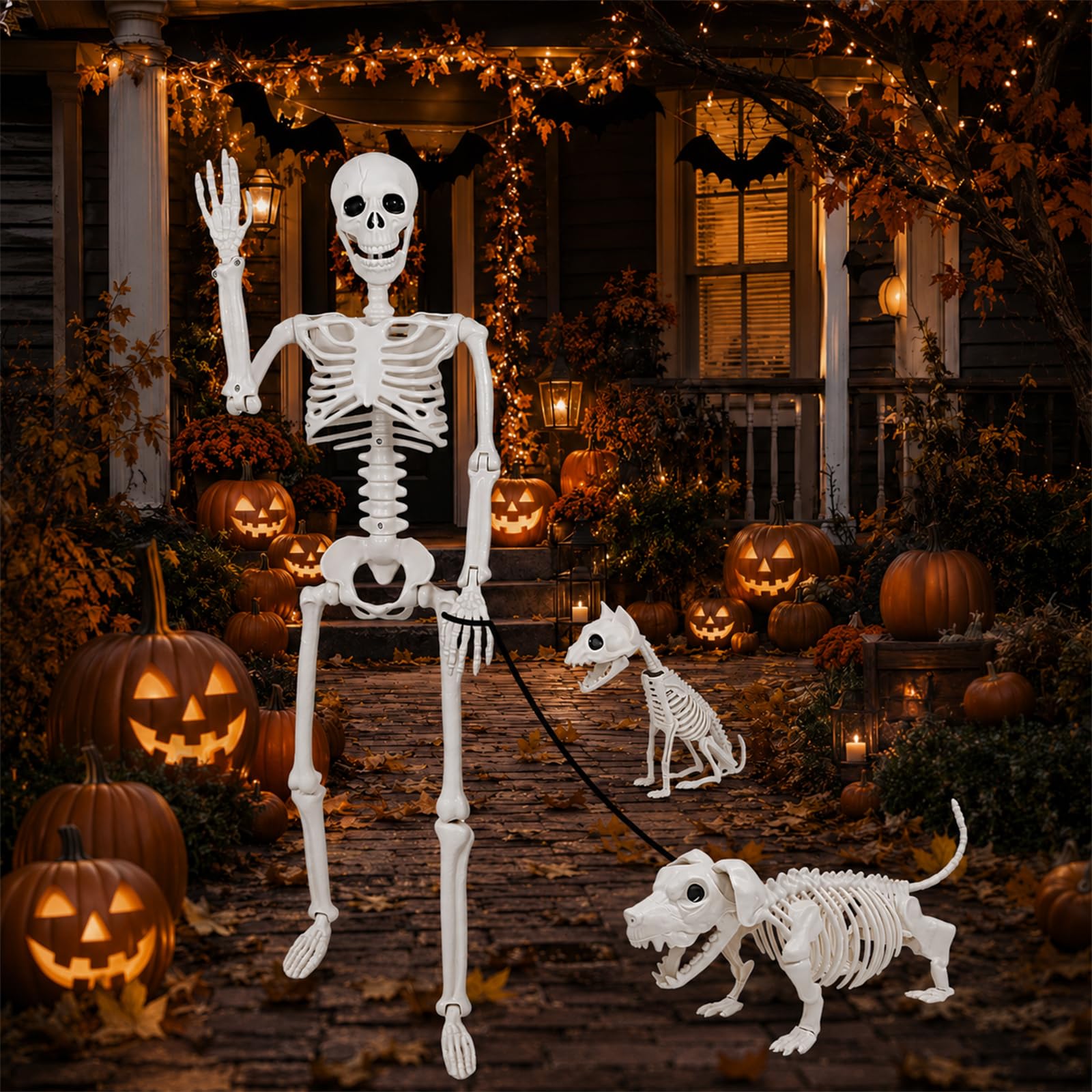 Aitbay dog skeleton side profile demonstrating flexible joints and playful staging