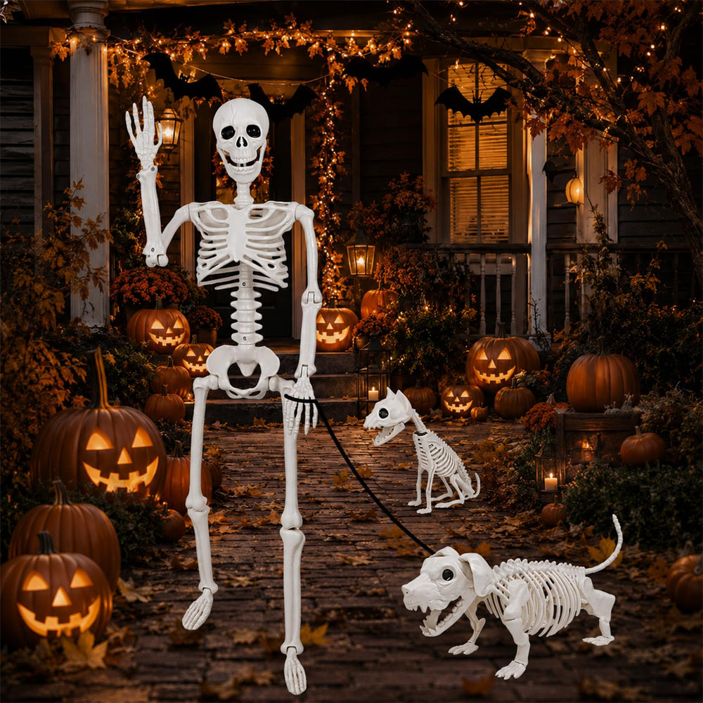 Aitbay dog skeleton side profile demonstrating flexible joints and playful staging