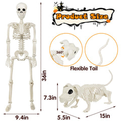 Aitbay close-up of human skeleton joints highlighting adjustable pose capability