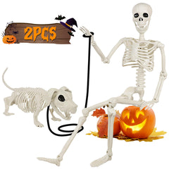Aitbay human skeleton front view showing full 36-inch height and realistic pose benefit