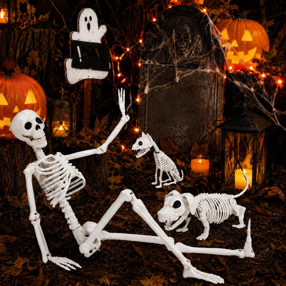 Aitbay scale comparison with hand showing 36-inch skeleton size and easy storage