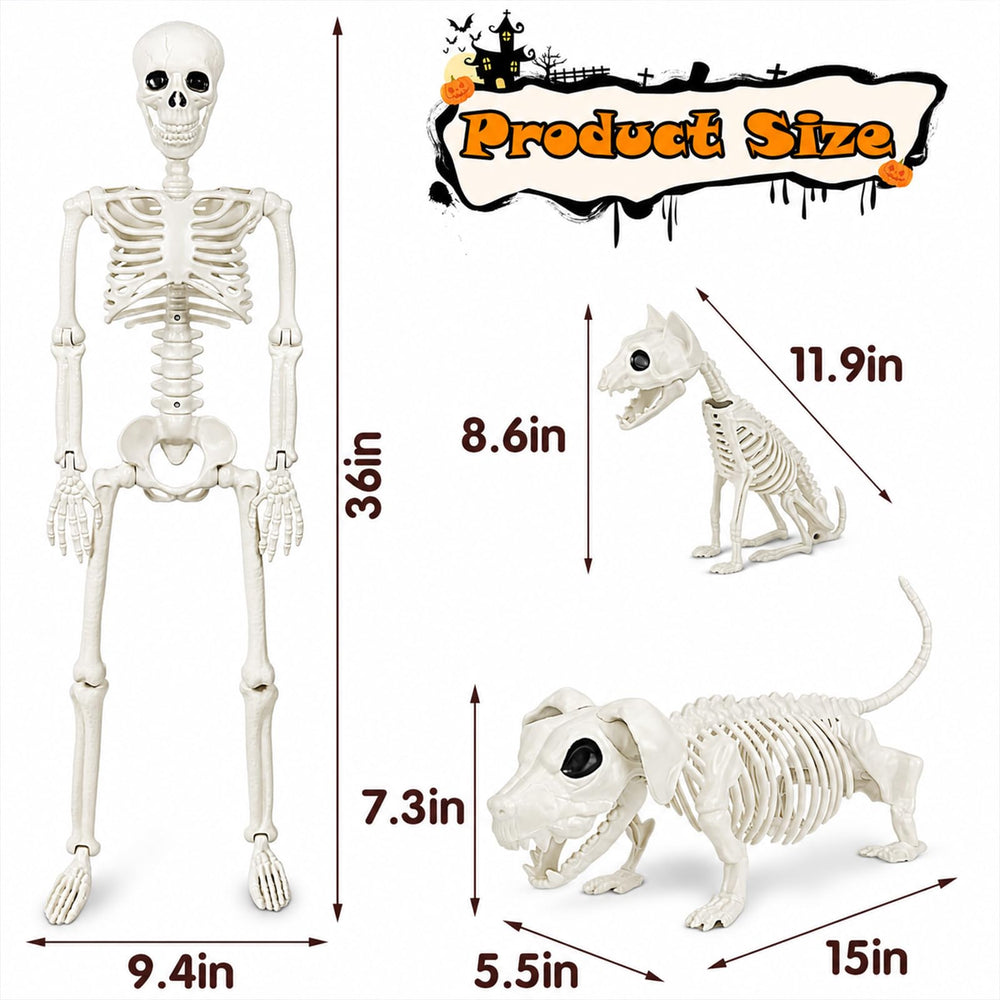 Aitbay three-piece skeletons arranged in a yard delivering spooky holiday atmosphere