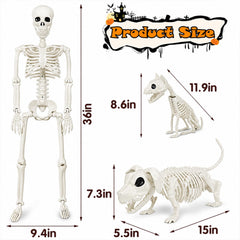 Aitbay three-piece skeletons arranged in a yard delivering spooky holiday atmosphere