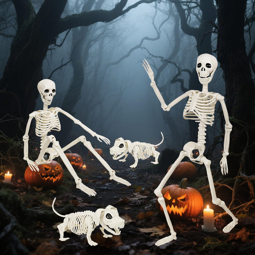 Aitbay skeletons staged on lawn demonstrating outdoor decoration impact