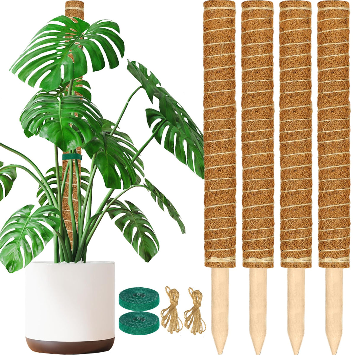 ALENEY moss poles front view showing full 4-pack and packaging benefit