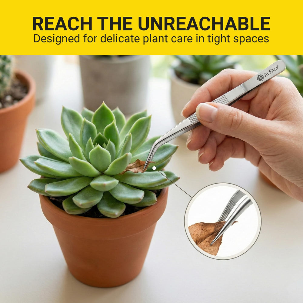 Alfaly tweezers picking up a small succulent leaf to prevent damage and improve placement