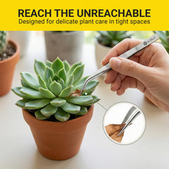 Alfaly tweezers picking up a small succulent leaf to prevent damage and improve placement