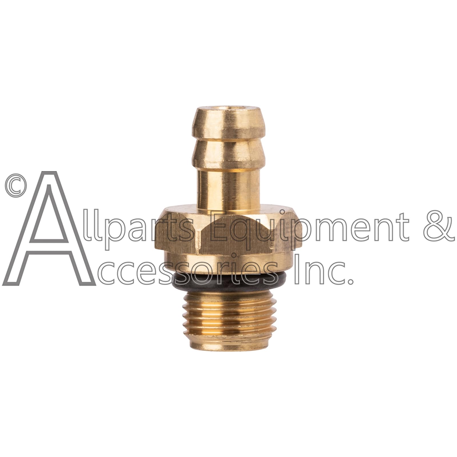 ALLPARTS BASIC assembled kit laid on workbench showing easy parts identification benefit