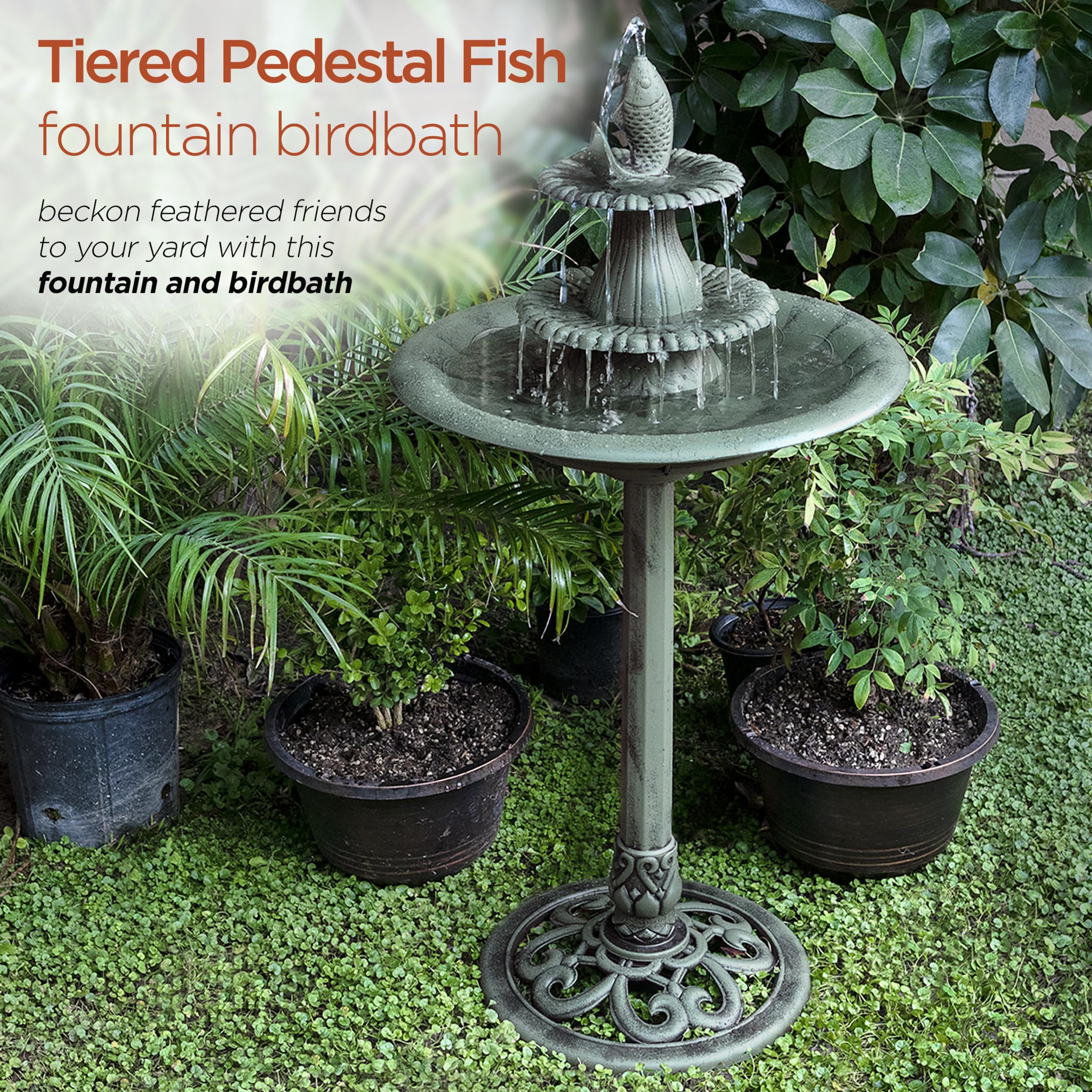 Alpine Corporation middle bowl shallow depth showing safe bathing space for small birds