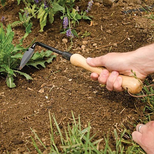 A.M. Leonard weeder in use removing weeds to protect nearby plants