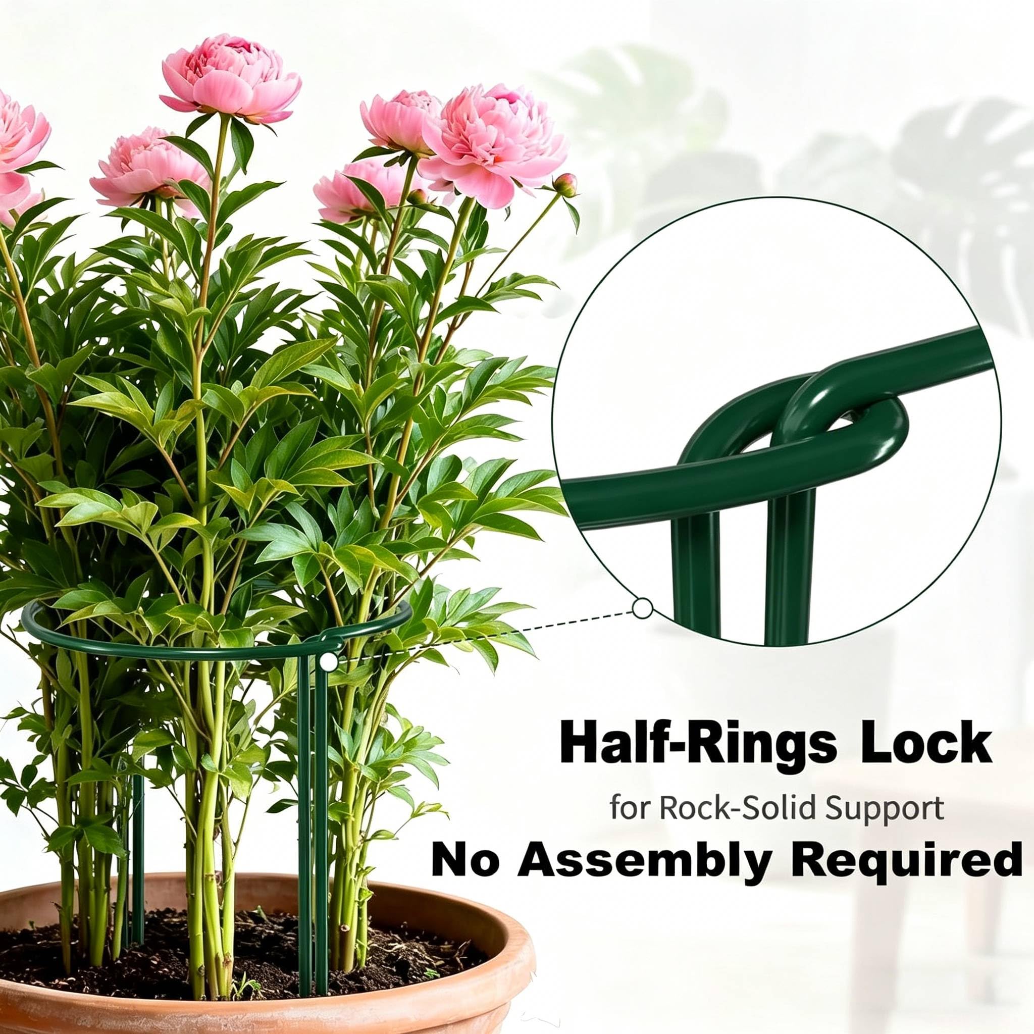 AMAGABELI ring used in a pot with monstera demonstrating indoor plant stability