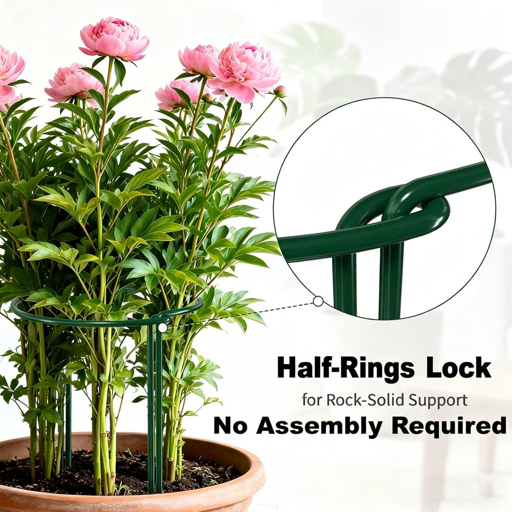 AMAGABELI ring used in a pot with monstera demonstrating indoor plant stability