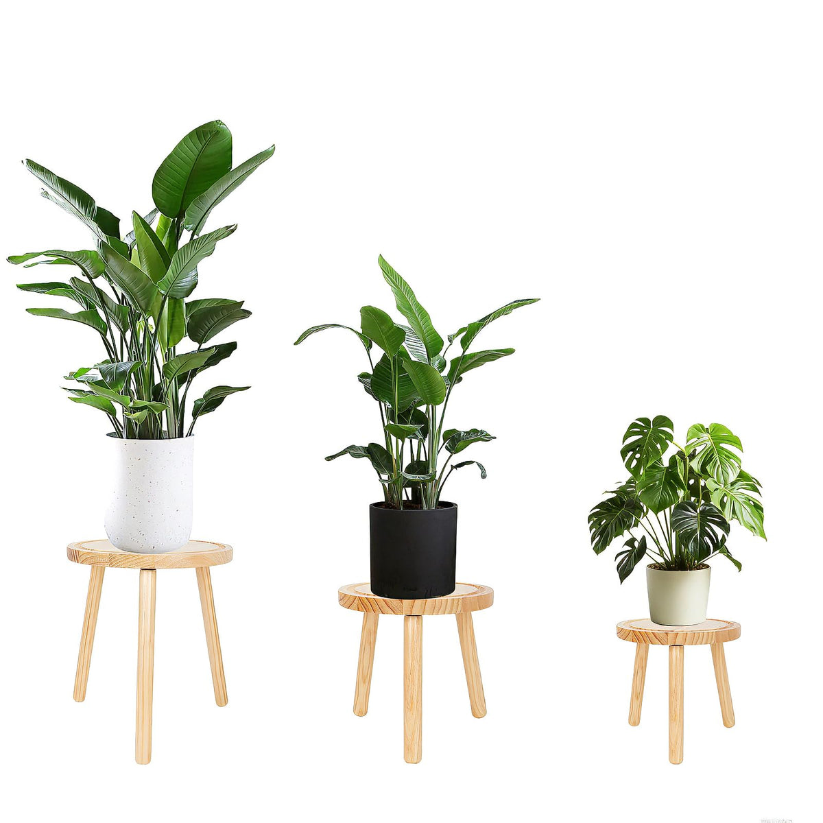 Amdermi front view of three wood plant stands showing mid-century styling and balance