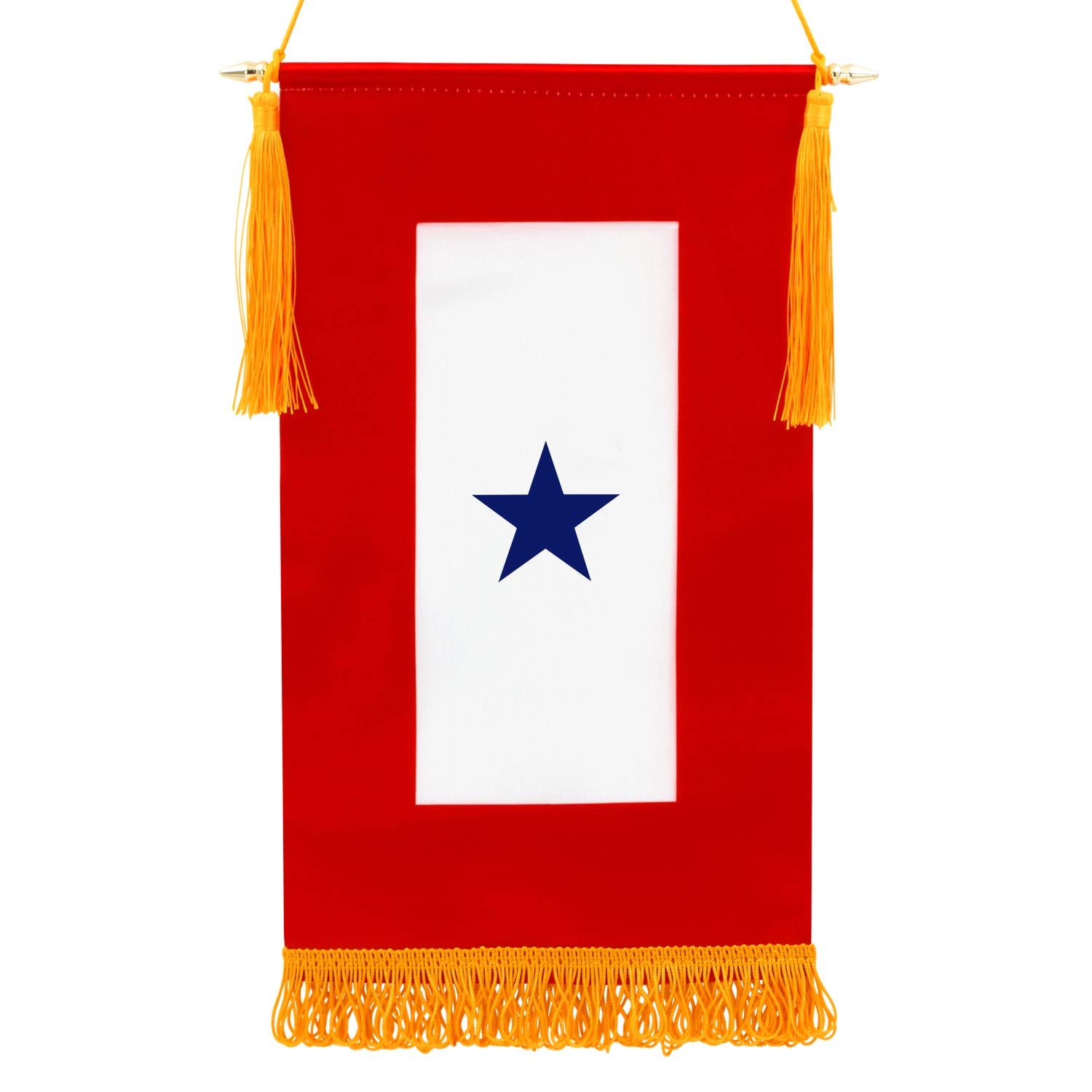 Anley banner front view showing blue star and vibrant color for respectful display