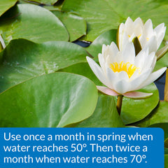 API tablet inserted in potted aquatic plant soil, demonstrates targeted nutrient delivery