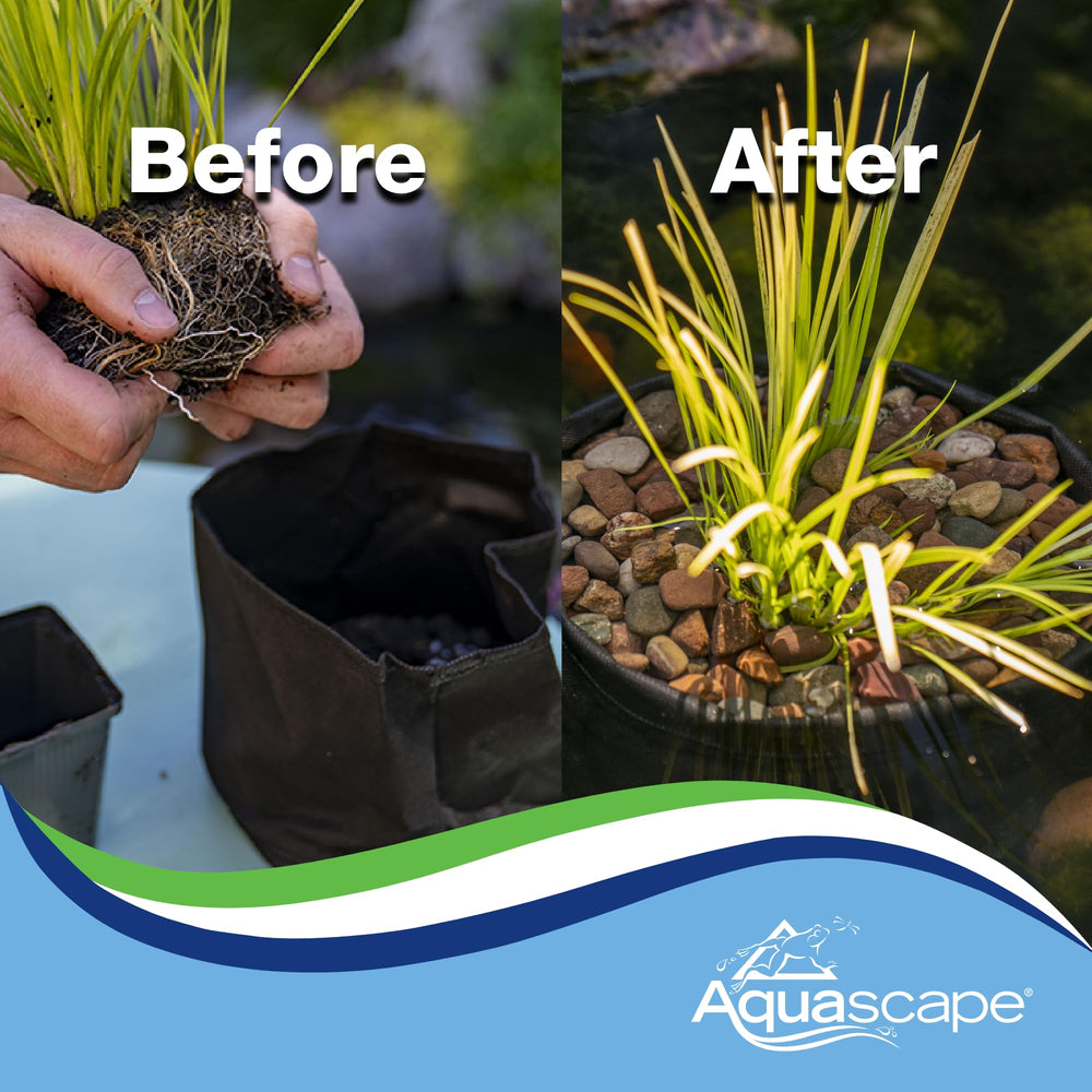 Two Aquascape planters placed at pond edge showing paired display advantage