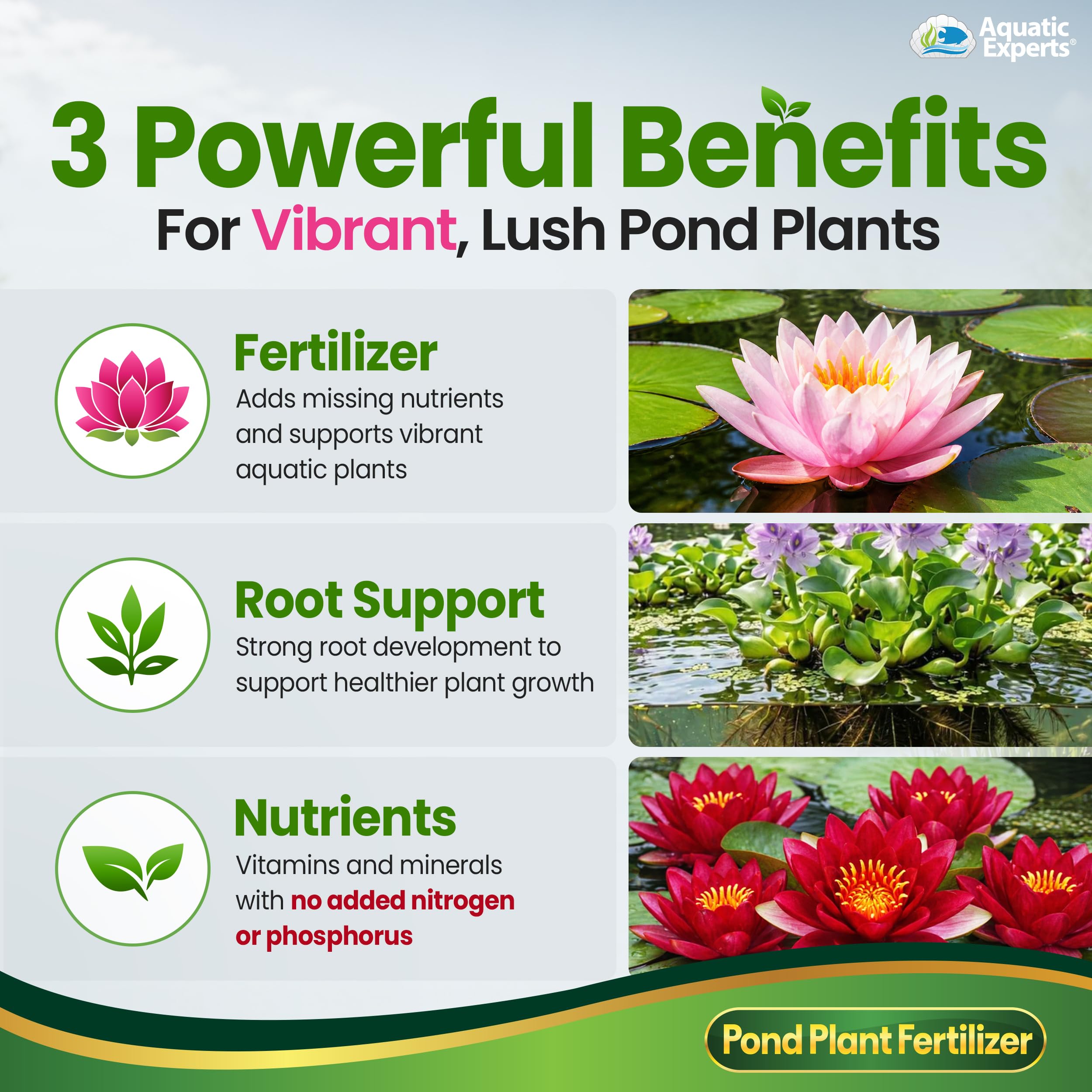 Container pond setup being fed Aquatic Experts VitaPlant for healthier plants