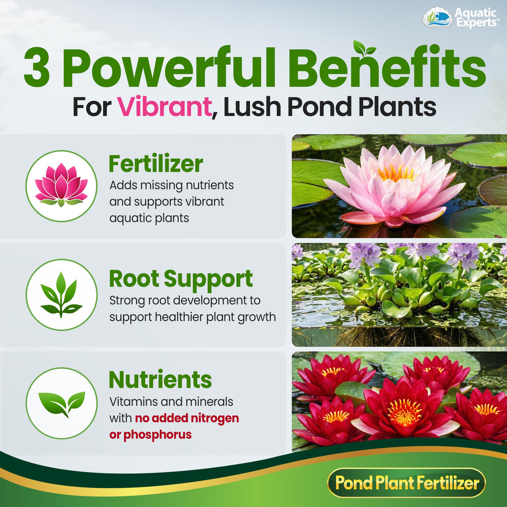 Container pond setup being fed Aquatic Experts VitaPlant for healthier plants