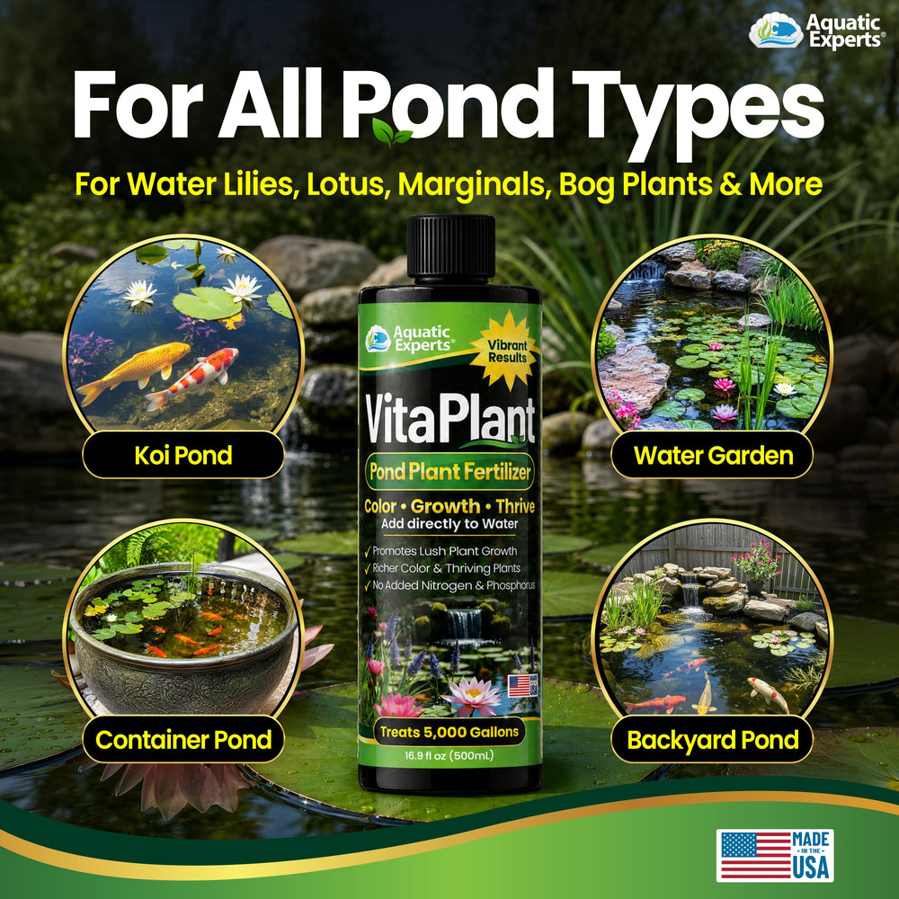 Water lily in a pond treated with Aquatic Experts VitaPlant showing vibrant foliage