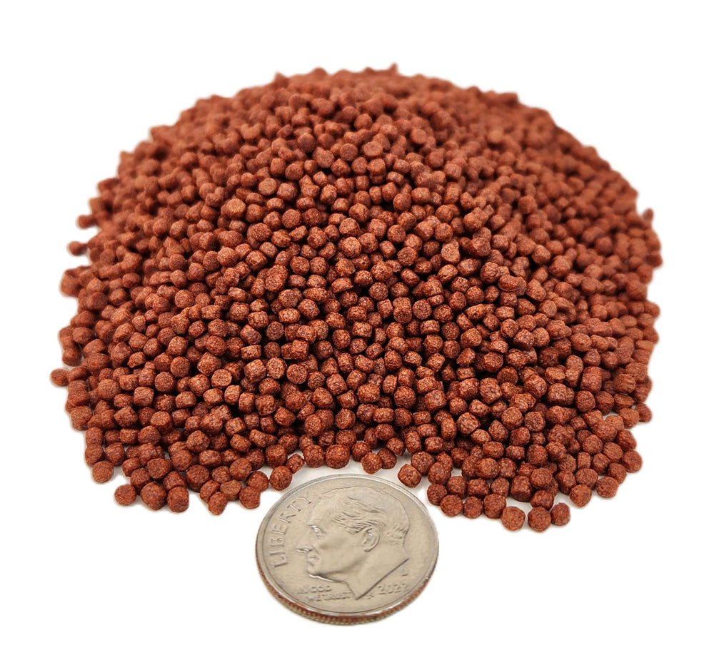 Aquatic Foods Inc. floating pellets on aquarium surface attracting fish