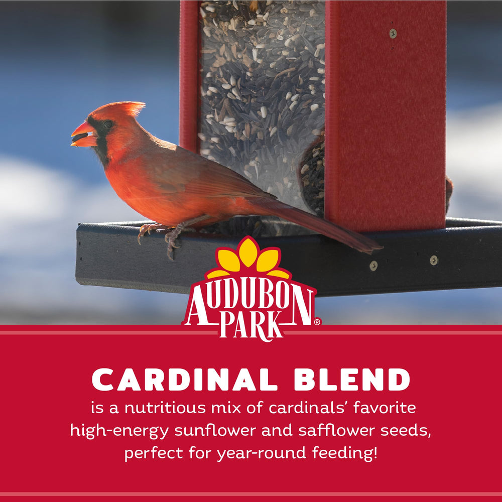 Audubon Park on platform feeder inviting cardinals and songbirds