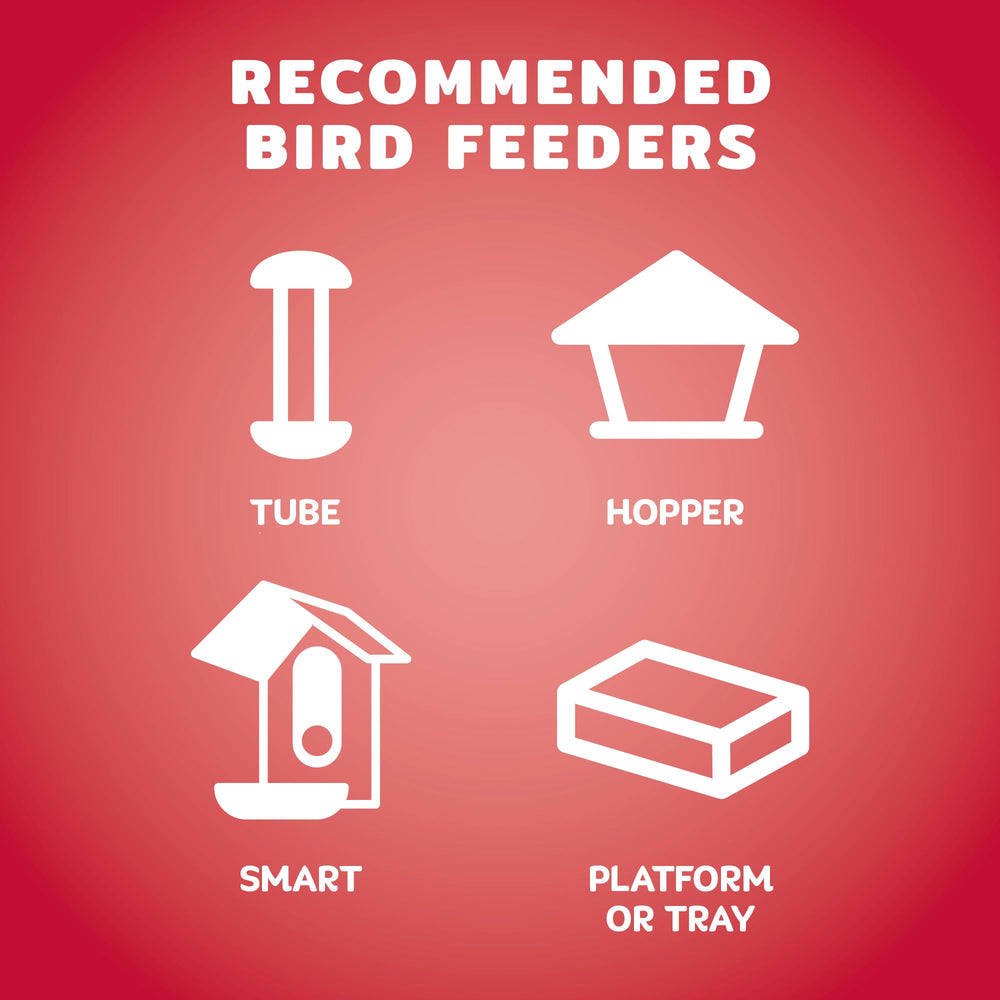 Audubon Park feeder scene showing reduced squirrel visits benefit