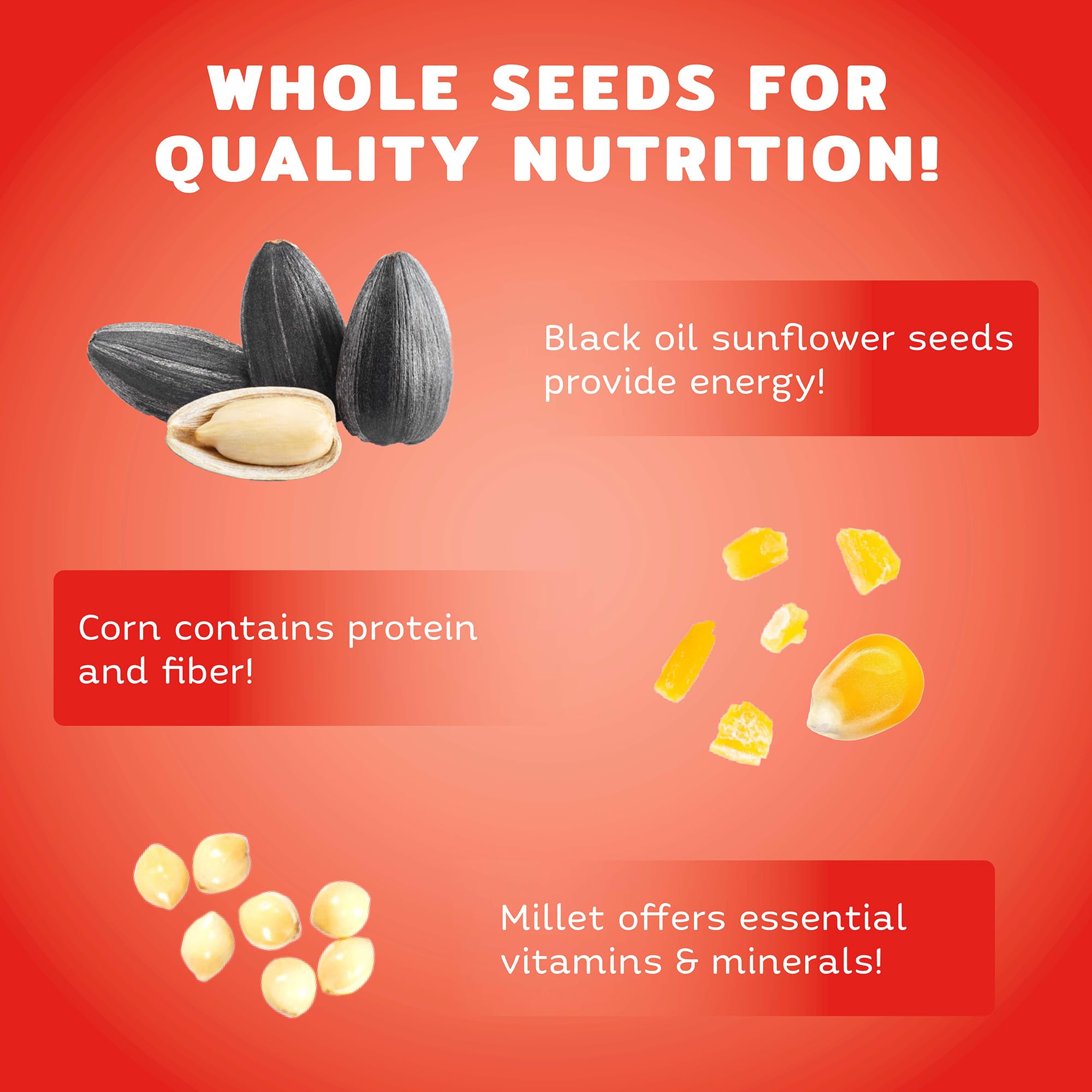Audubon Park focused black oil sunflower seeds highlighting energy benefit