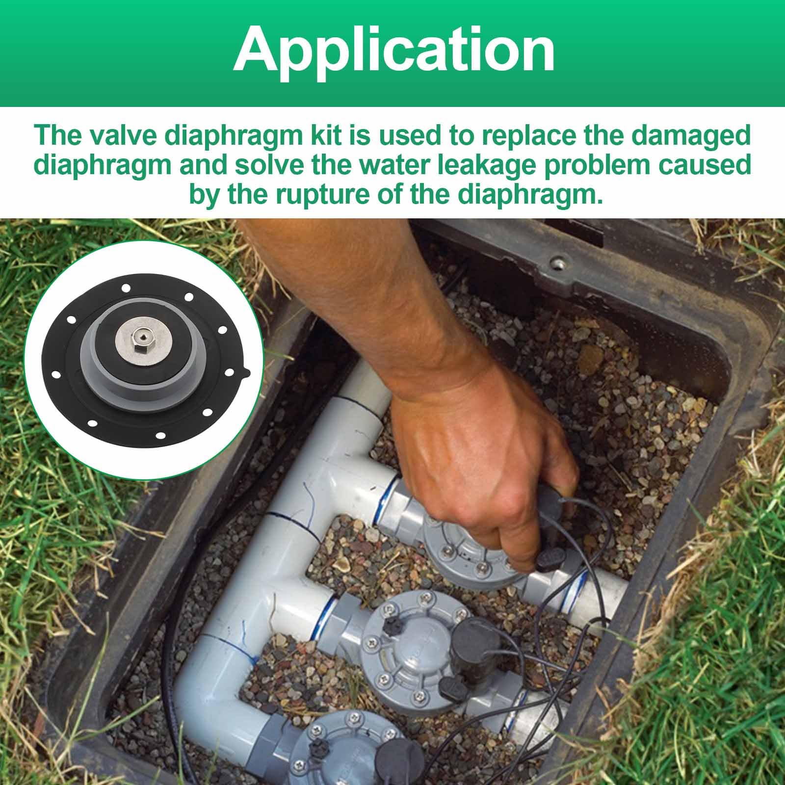 Aulpq diaphragm beside a coin showing size and easy fit reassurance