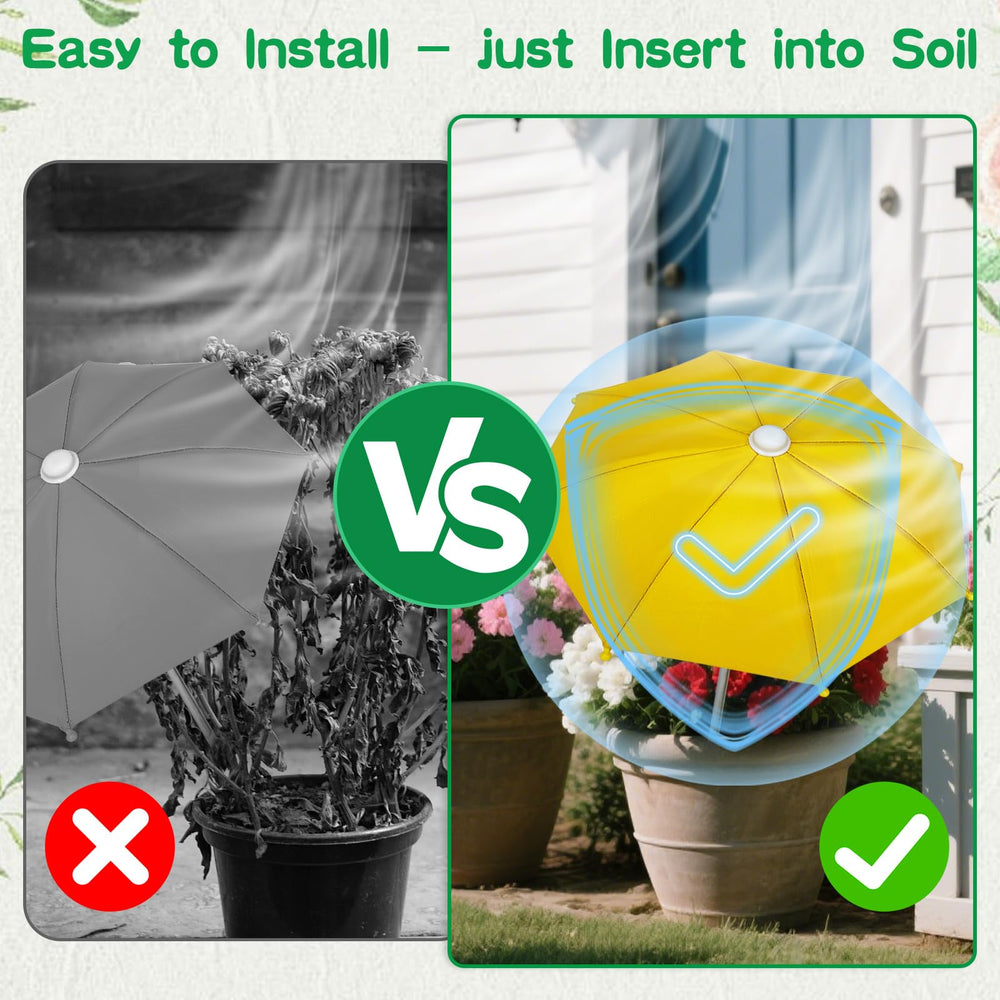 Avalessia lifestyle garden setting adding charm and plant protection