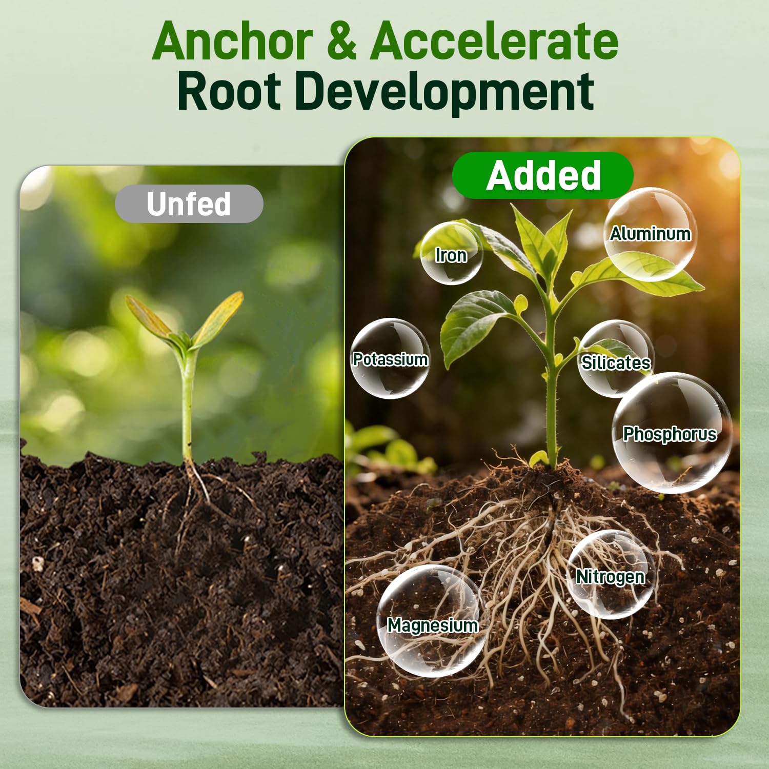 Avalution rice hull charcoal granules that boost structure and reduce salts