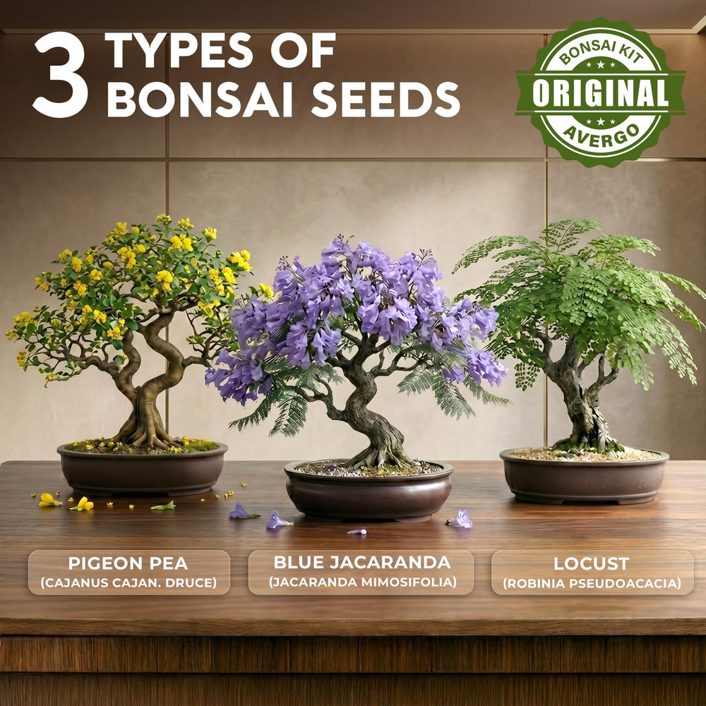 AVERGO bonsai toolset displayed clearly for easy beginner styling