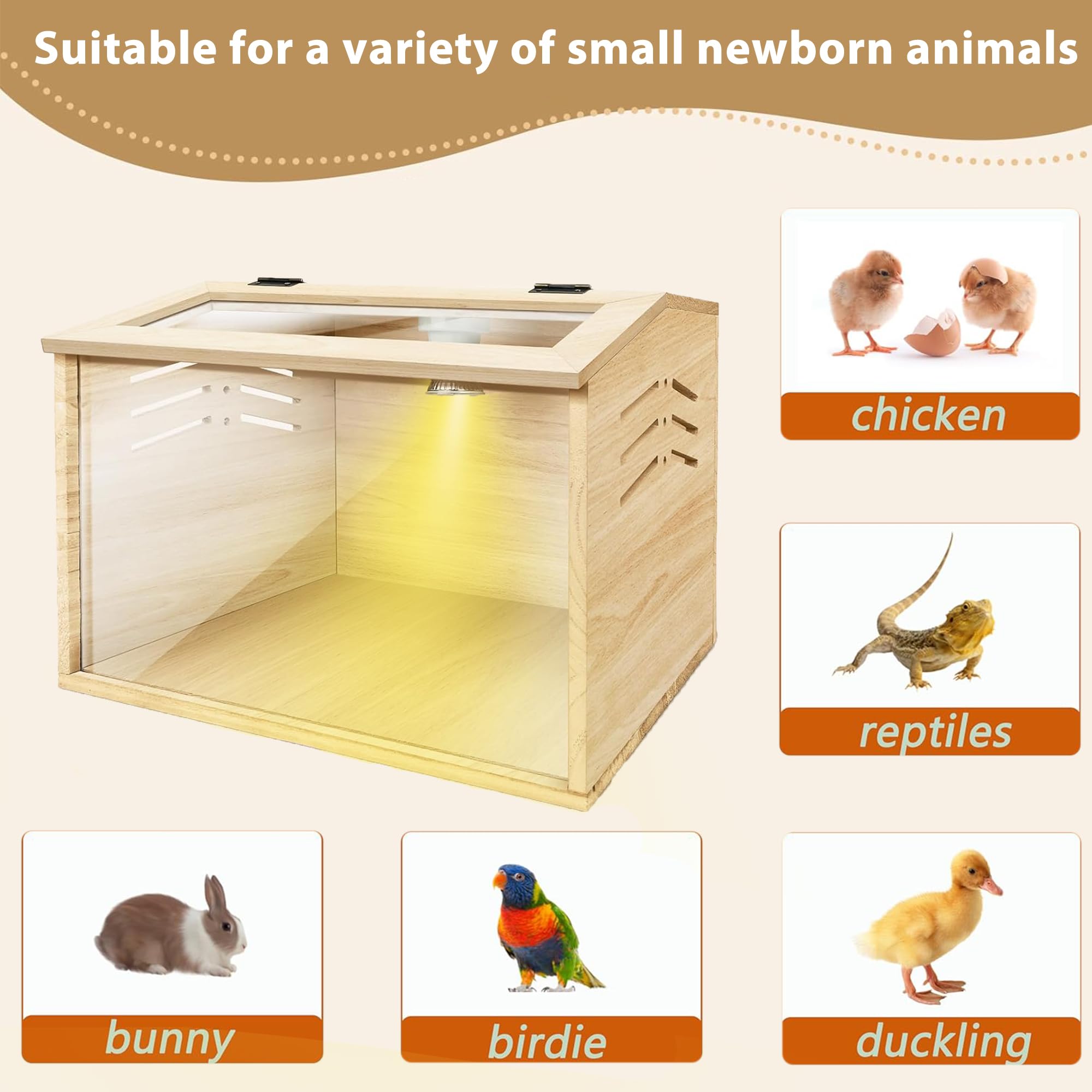 Azefun brooder in backyard setup demonstrating ready-to-use convenience benefit