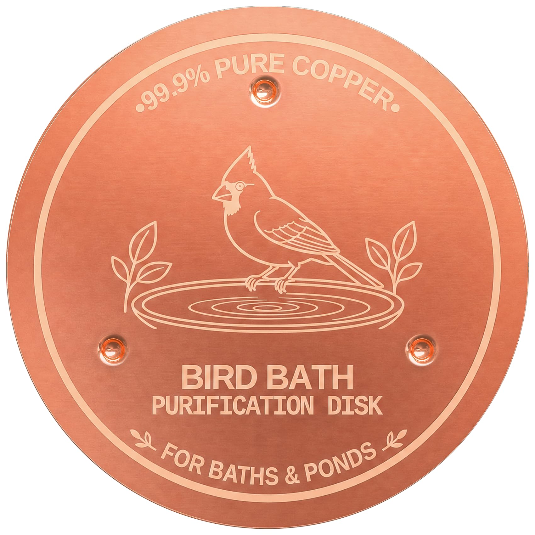 Azomabox copper disc front view showing smooth plate and benefit of cleaner water