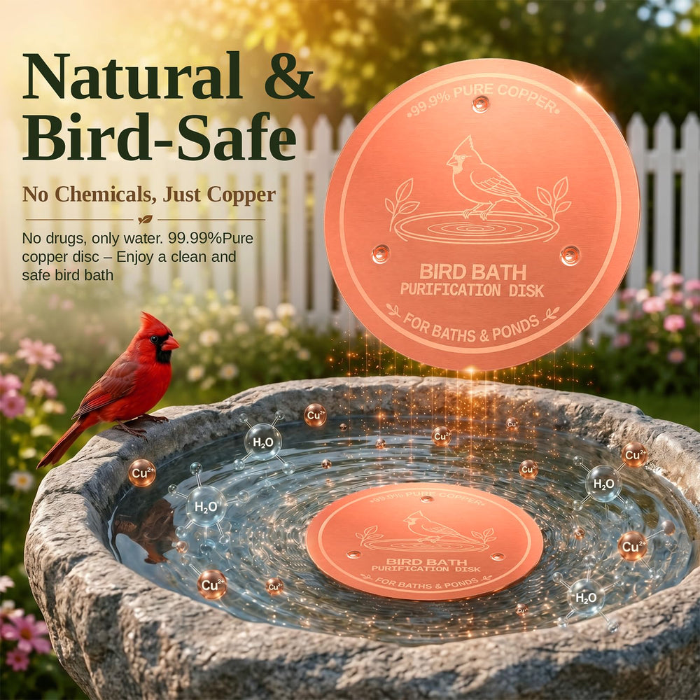Azomabox copper disc in hanging bird bath showing lightweight design benefit