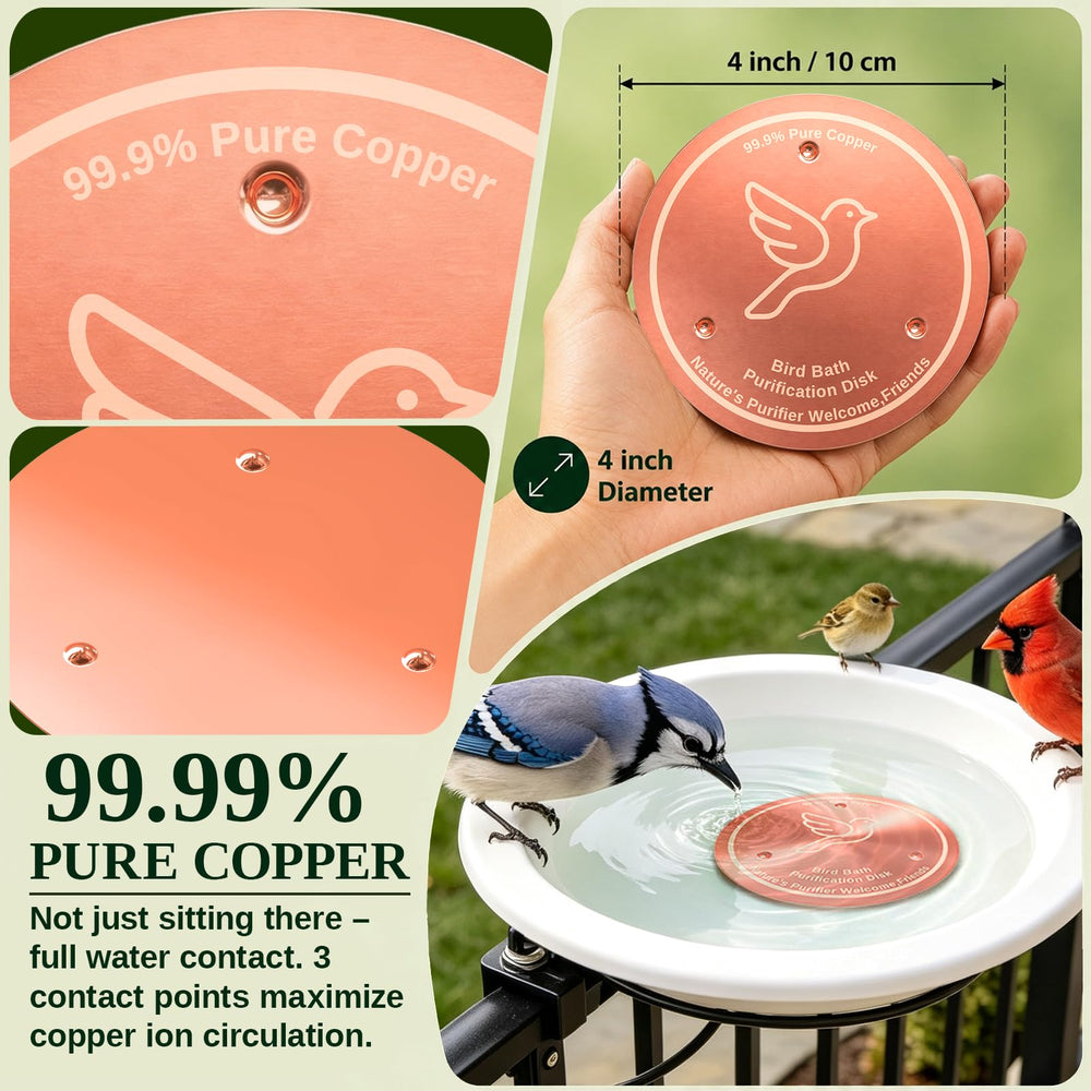 Azomabox copper disc with splashing bird showing reduced maintenance