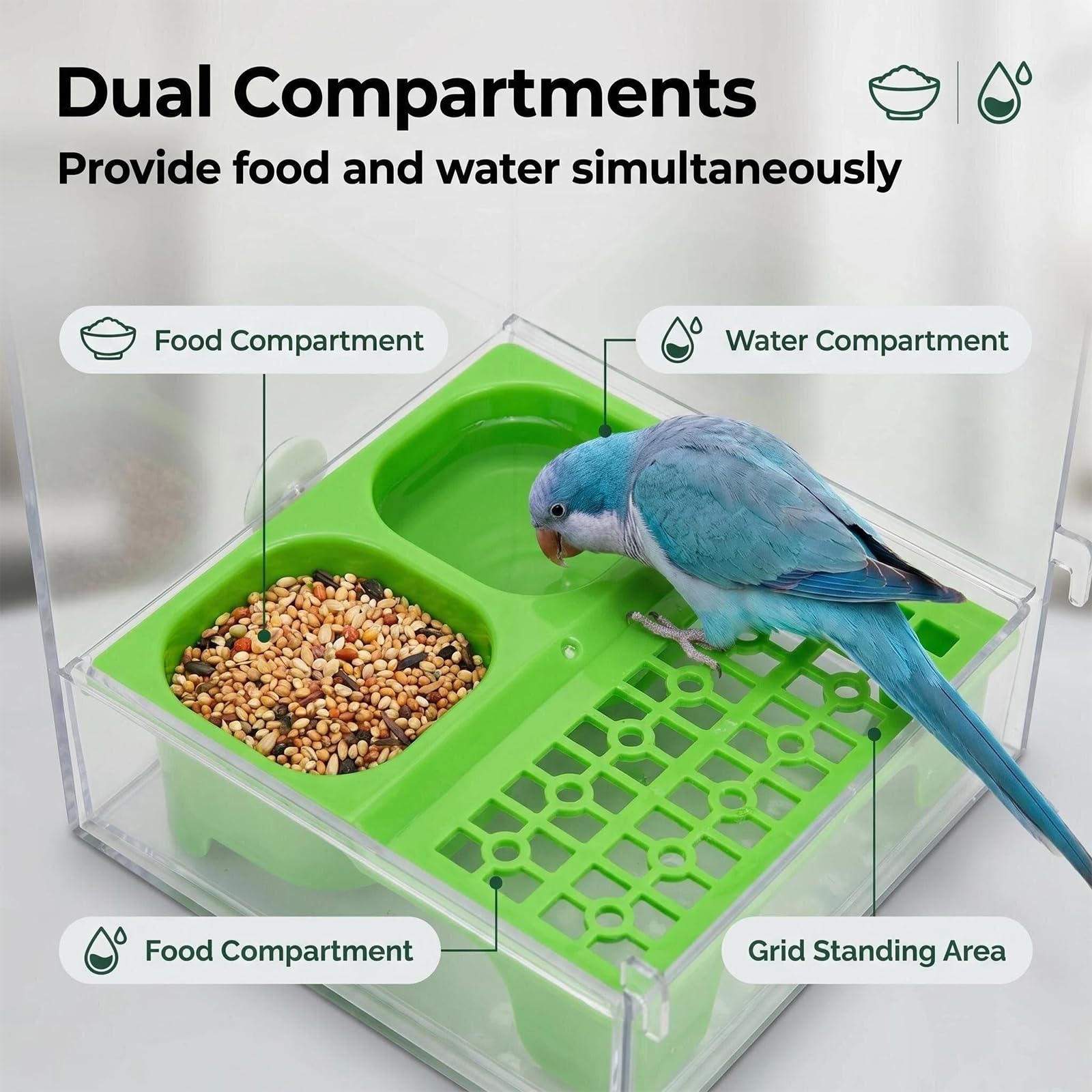 AZSRKRBM in use with small parrot demonstrating roomy feeding slots