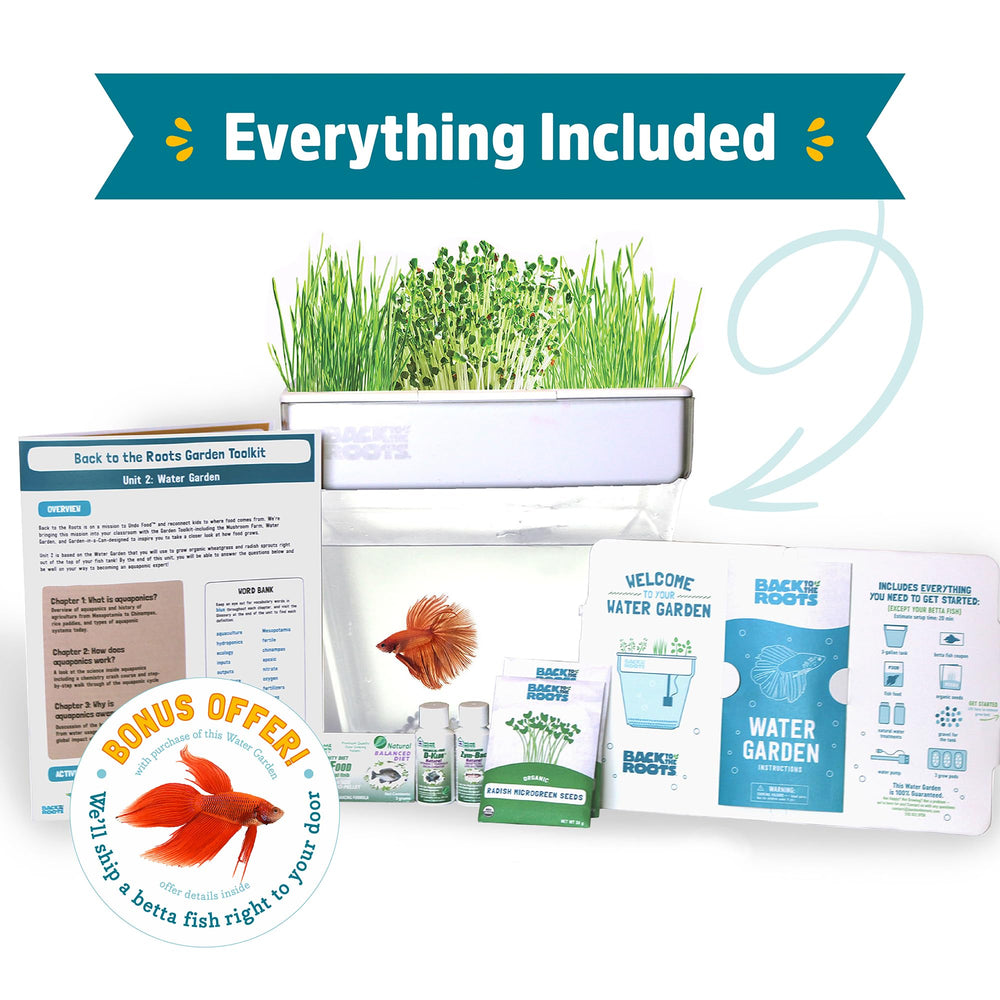 Back to the Roots small fish swimming below plants highlighting natural fertilization benefit