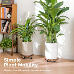 Bamworld assembled under large planter demonstrating mobility and easy repositioning benefit