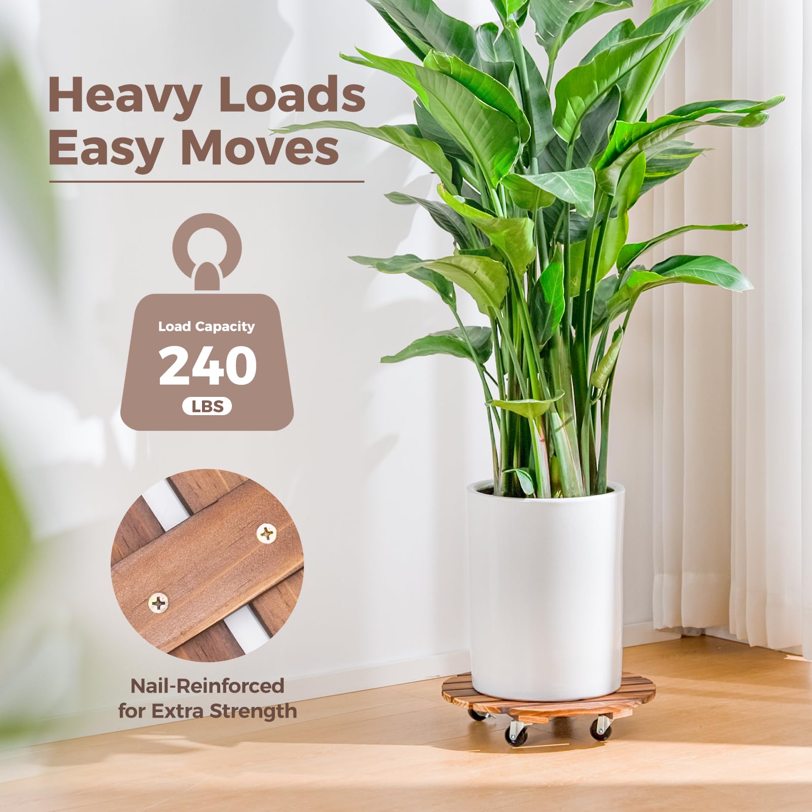 Bamworld in indoor window setting showing aesthetic appeal and easy plant rotation benefit