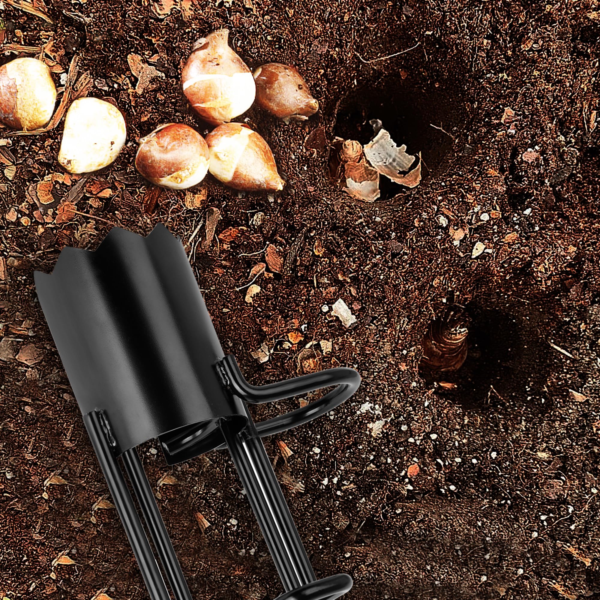 BARAYSTUS extracted soil plug demonstrating clean hole creation and minimal disturbance