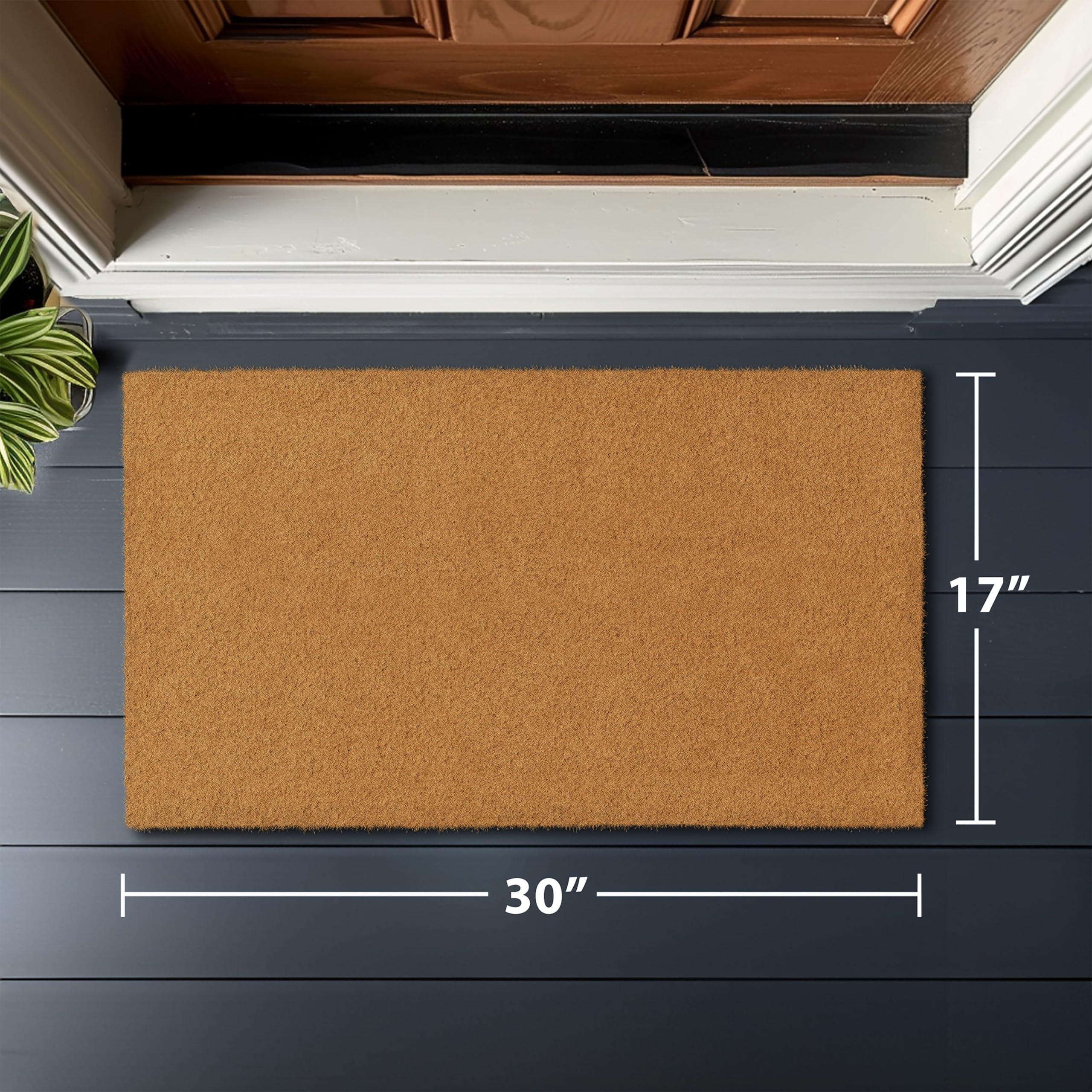 Barnyard Designs beside door for scale, fits standard single-door entry